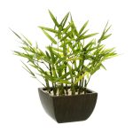 Nepplant bamboe met pot 35cm