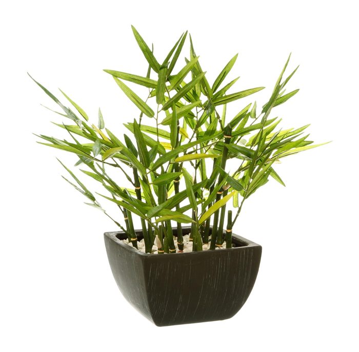 Nepplant bamboe met pot 35cm