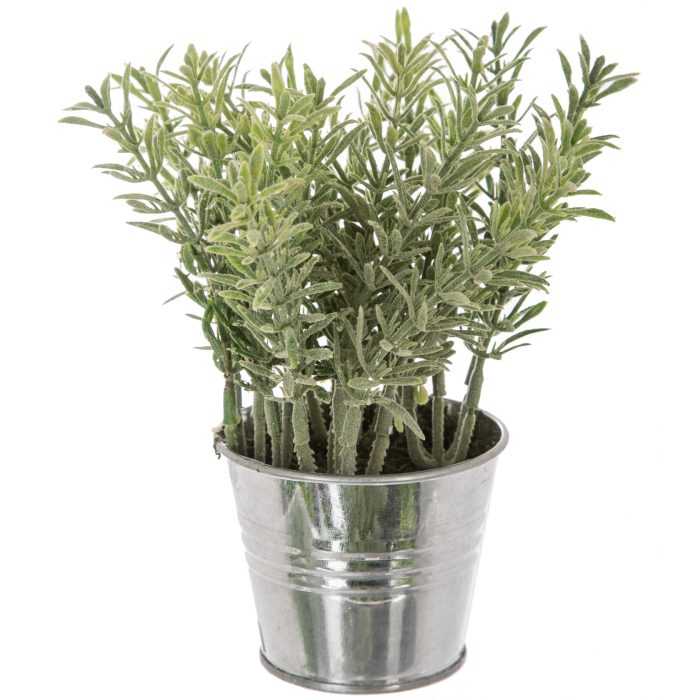 Plant in tinnenpot 17cm