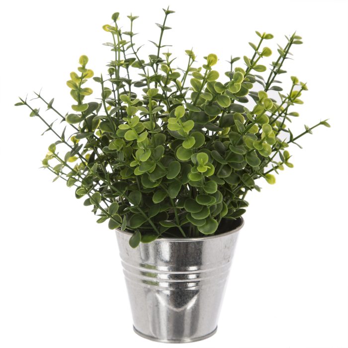 Plant in tinnenpot 25cm