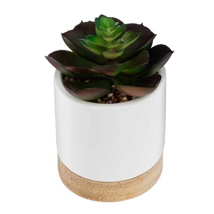 Kunstplant met pot/hout 12cm