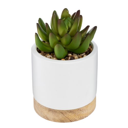 Kunstplant met pot/hout 12cm